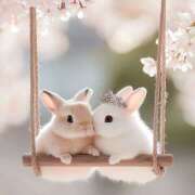 ヒメ日記 2026/03/01 10:43 投稿 間宮 HERMINE-エルミネ-