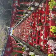 ヒメ日記 2026/03/03 12:06 投稿 間宮 HERMINE-エルミネ-