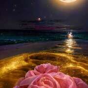 ヒメ日記 2026/03/03 19:12 投稿 間宮 HERMINE-エルミネ-