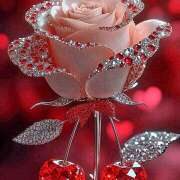 ヒメ日記 2026/03/04 05:25 投稿 間宮 HERMINE-エルミネ-