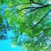 ヒメ日記 2026/03/04 15:27 投稿 間宮 HERMINE-エルミネ-