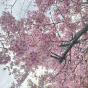 ヒメ日記 2026/03/06 14:15 投稿 間宮 HERMINE-エルミネ-