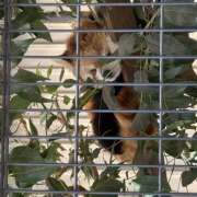 ヒメ日記 2026/03/12 17:29 投稿 間宮 HERMINE-エルミネ-