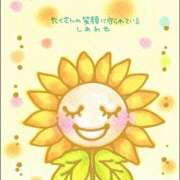 ヒメ日記 2026/03/17 04:31 投稿 間宮 HERMINE-エルミネ-