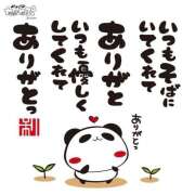 ヒメ日記 2026/03/19 04:33 投稿 間宮 HERMINE-エルミネ-