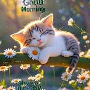 ヒメ日記 2026/03/26 07:45 投稿 間宮 HERMINE-エルミネ-