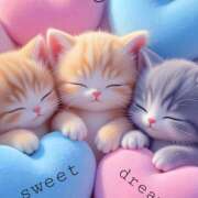 ヒメ日記 2026/03/26 23:54 投稿 間宮 HERMINE-エルミネ-