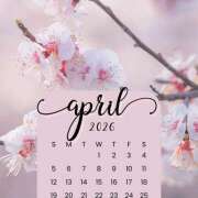 ヒメ日記 2026/04/01 13:46 投稿 間宮 HERMINE-エルミネ-