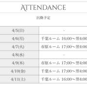 ヒメ日記 2026/04/06 00:18 投稿 間宮 HERMINE-エルミネ-