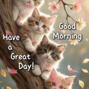 ヒメ日記 2026/04/09 09:37 投稿 間宮 HERMINE-エルミネ-