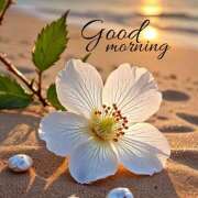 ヒメ日記 2026/04/10 13:09 投稿 間宮 HERMINE-エルミネ-