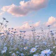 ヒメ日記 2026/04/11 10:37 投稿 間宮 HERMINE-エルミネ-