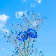 ヒメ日記 2026/04/12 14:07 投稿 間宮 HERMINE-エルミネ-