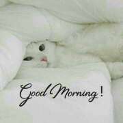 ヒメ日記 2026/04/14 13:54 投稿 間宮 HERMINE-エルミネ-