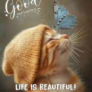 ヒメ日記 2026/04/19 12:32 投稿 間宮 HERMINE-エルミネ-