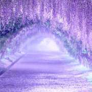 ヒメ日記 2026/04/23 11:14 投稿 間宮 HERMINE-エルミネ-