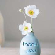 ヒメ日記 2026/04/24 04:39 投稿 間宮 HERMINE-エルミネ-