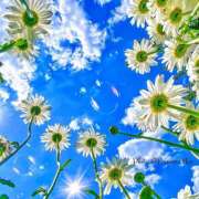 ヒメ日記 2026/04/26 09:17 投稿 間宮 HERMINE-エルミネ-