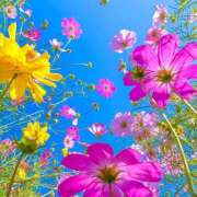 ヒメ日記 2026/04/28 11:28 投稿 間宮 HERMINE-エルミネ-