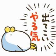 ヒメ日記 2026/06/03 10:02 投稿 間宮 HERMINE-エルミネ-