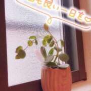 ヒメ日記 2025/11/15 07:01 投稿 ひまり ぽちゃ・巨乳専門店　太田足利ちゃんこ