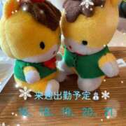 ヒメ日記 2025/12/14 18:01 投稿 ひまり ぽちゃ・巨乳専門店　太田足利ちゃんこ