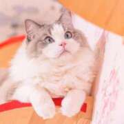 ヒメ日記 2026/01/09 11:10 投稿 ももな かりんと大久保・新大久保