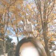 ヒメ日記 2025/11/24 09:22 投稿 なこ 君とふわふわプリンセスin西川口