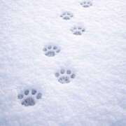 ヒメ日記 2026/01/03 09:51 投稿 のの 春日部人妻花壇