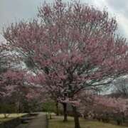 ヒメ日記 2026/04/12 20:41 投稿 こまち 熟女の風俗最終章 宇都宮店