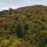 りか先生 はじめまして 渋谷   大人の幼稚園