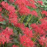 ゆき ありがとうございました!! 治療院.LOVE小山店