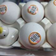 ヒメ日記 2026/02/03 11:31 投稿 ラン ミセスClub