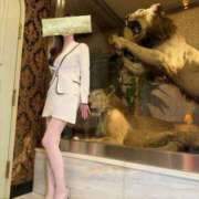 ヒメ日記 2026/04/13 17:13 投稿 白咲 りん ライオンズクラブ