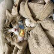 ヒメ日記 2026/02/12 17:23 投稿 モア コイバ