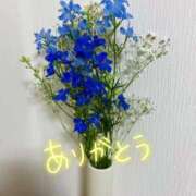 ヒメ日記 2025/11/13 06:42 投稿 ひすい 熟女の風俗最終章 新宿店