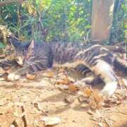 ヒメ日記 2025/11/22 22:22 投稿 ひすい 熟女の風俗最終章 新宿店