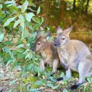 ヒメ日記 2025/12/21 16:10 投稿 ひすい 熟女の風俗最終章 新宿店