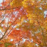 ヒメ日記 2025/11/17 05:52 投稿 ひすい 熟女の風俗最終章 池袋店