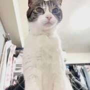 ヒメ日記 2025/11/29 08:19 投稿 すみれ ぽっちゃりデリヘル倶楽部