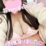 ヒメ日記 2025/11/29 18:39 投稿 すみれ ぽっちゃりデリヘル倶楽部