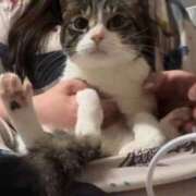 ヒメ日記 2026/01/12 21:29 投稿 すみれ ぽっちゃりデリヘル倶楽部