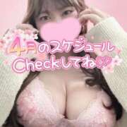 ヒメ日記 2026/03/29 21:25 投稿 すみれ ぽっちゃりデリヘル倶楽部