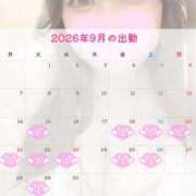 ヒメ日記 2026/09/13 12:09 投稿 すみれ ぽっちゃりデリヘル倶楽部