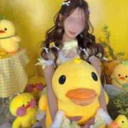 ヒメ日記 2025/11/16 15:44 投稿 美波　あすか Oasis(薬研堀)