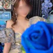 ヒメ日記 2025/11/19 22:21 投稿 美波　あすか Oasis(薬研堀)