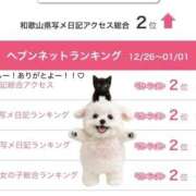 ヒメ日記 2026/01/06 12:02 投稿 まよい【爆乳絶対的プリンセス】 ポニーテール和歌山店