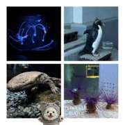 ヒメ日記 2026/02/25 12:52 投稿 まよい【爆乳絶対的プリンセス】 ポニーテール和歌山店