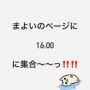 ヒメ日記 2026/05/06 12:35 投稿 まよい【爆乳絶対的プリンセス】 ポニーテール和歌山店