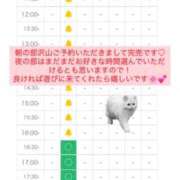 ヒメ日記 2026/05/08 21:45 投稿 まよい【爆乳絶対的プリンセス】 ポニーテール和歌山店